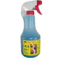 ICC_11